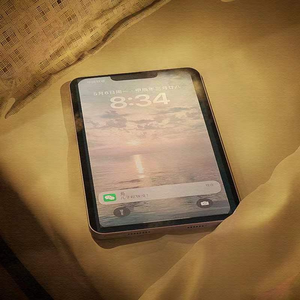 犬父(吃肉的长耳兔)
