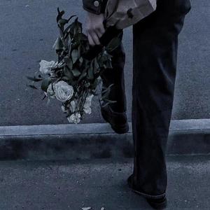 犬父(吃肉的长耳兔)
